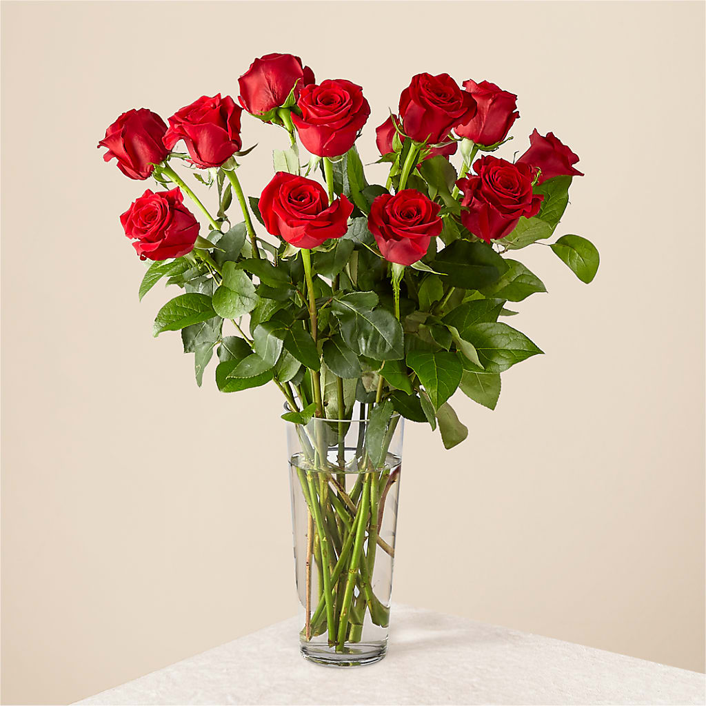 Long Stem Red Rose Bouquet – MELODY'S FLOWERS, Burlington WA