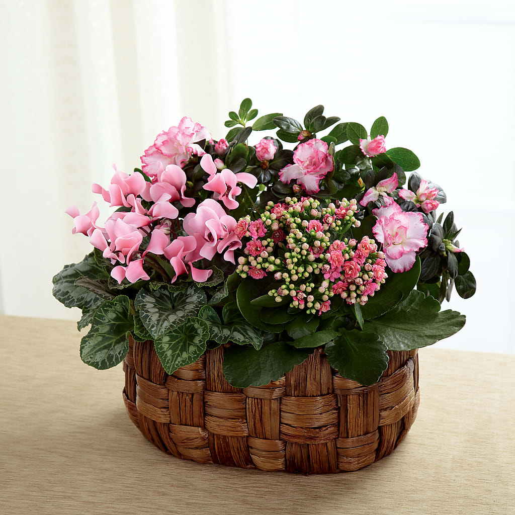 Pink Assortment – MELODY'S FLOWERS, Burlington WA