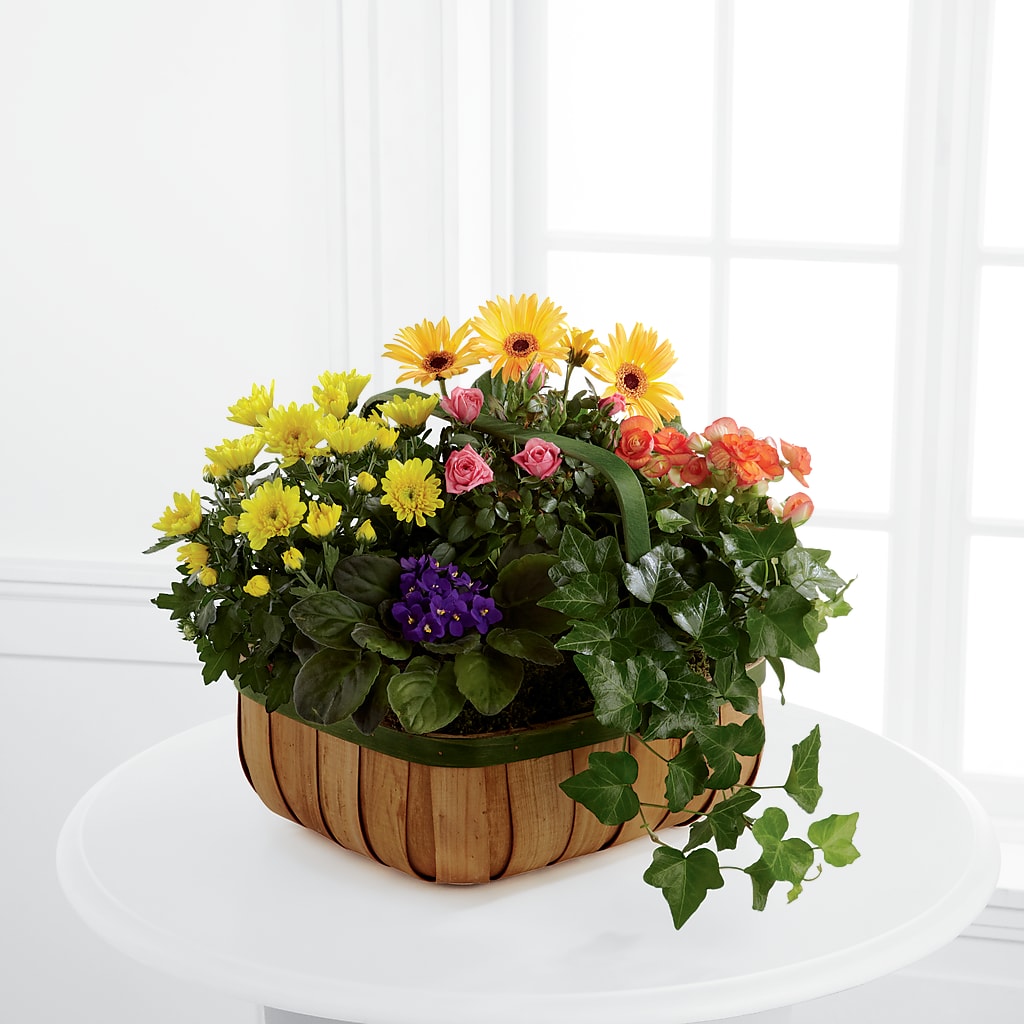 Gentle Blossoms Basket – MELODY'S FLOWERS, Burlington WA