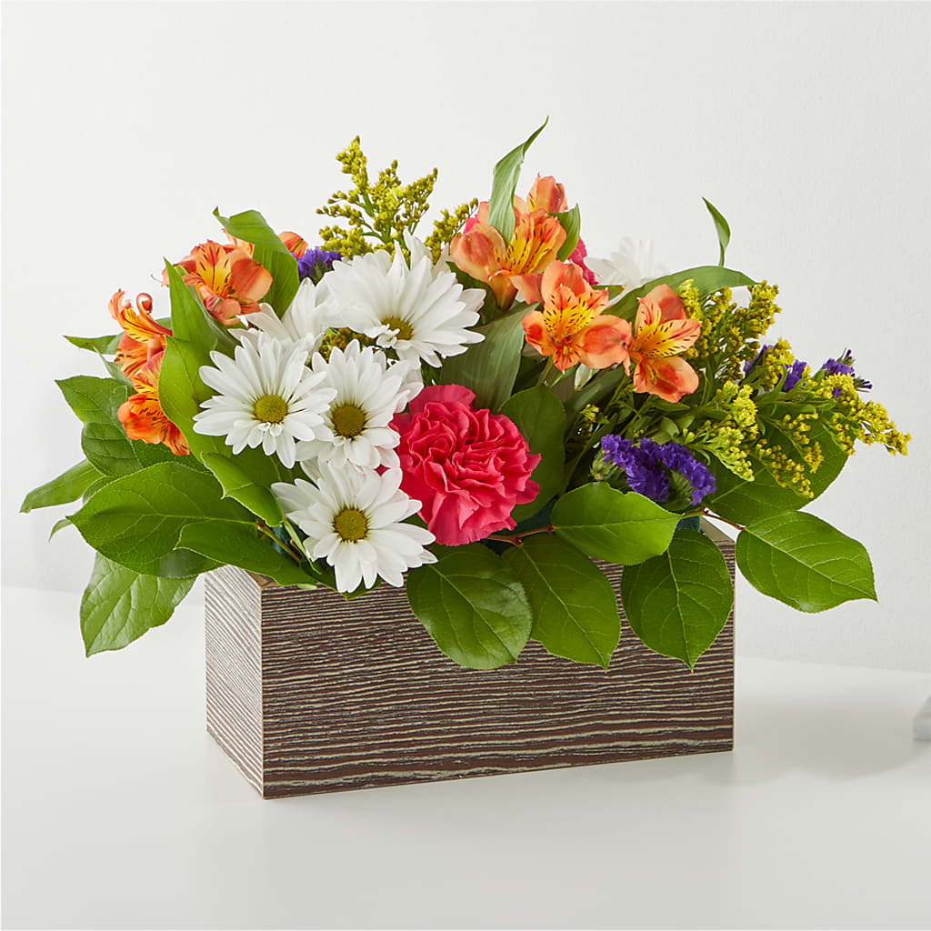 Oopsie Daisy Box Bouquet – MELODY'S FLOWERS, Burlington WA
