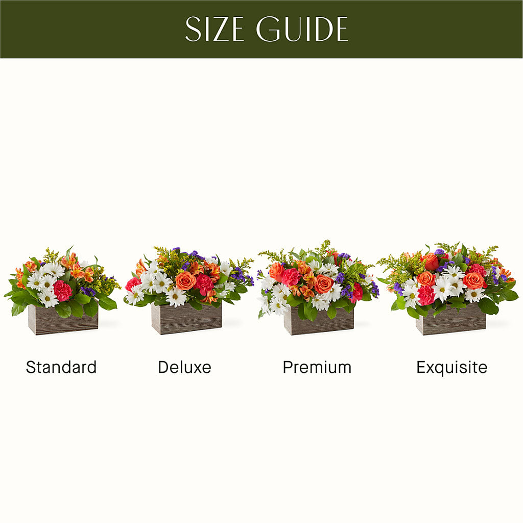 Oopsie Daisy Box Bouquet – MELODY'S FLOWERS, Burlington WA