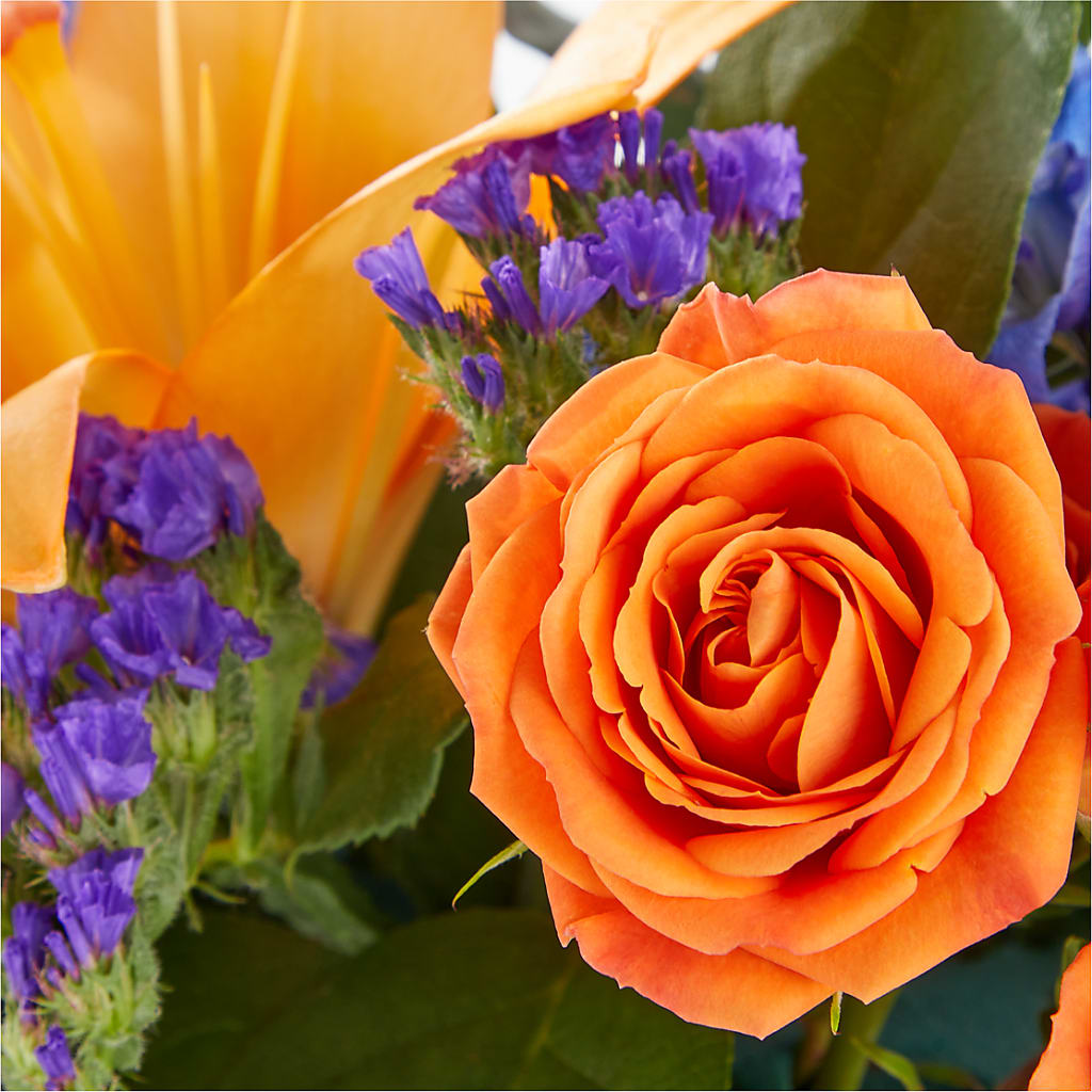 Radiant Citrus Box Bouquet – MELODY'S FLOWERS, Burlington WA