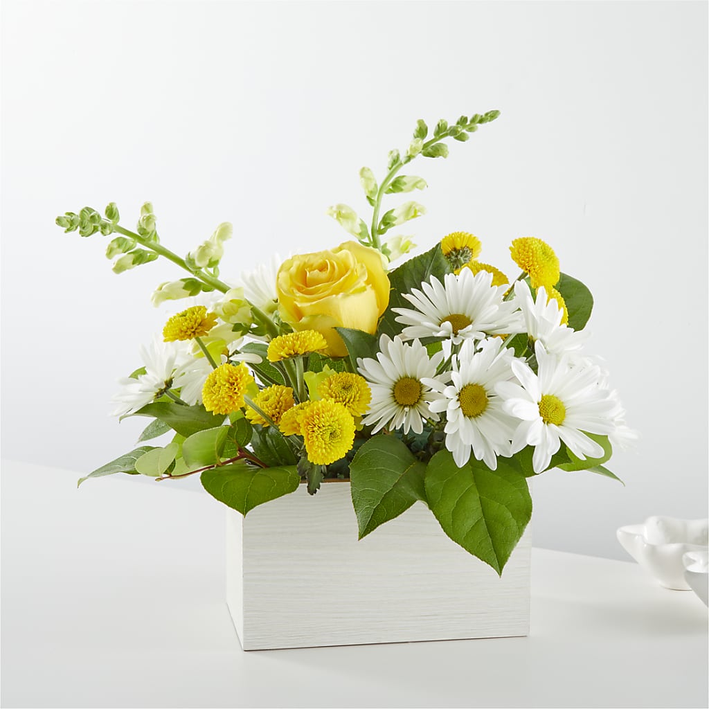 Sun Salutation Box Bouquet – MELODY'S FLOWERS, Burlington WA