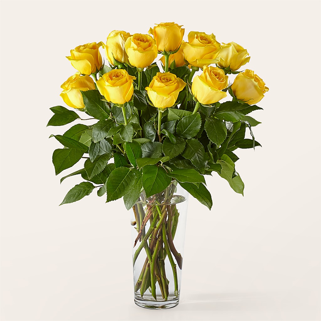 Long Stem Yellow Rose Bouquet – MELODY'S FLOWERS, Burlington WA