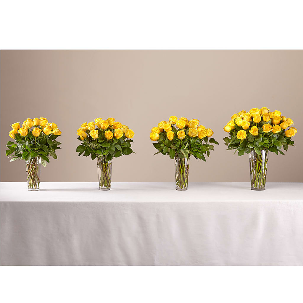Long Stem Yellow Rose Bouquet – MELODY'S FLOWERS, Burlington WA