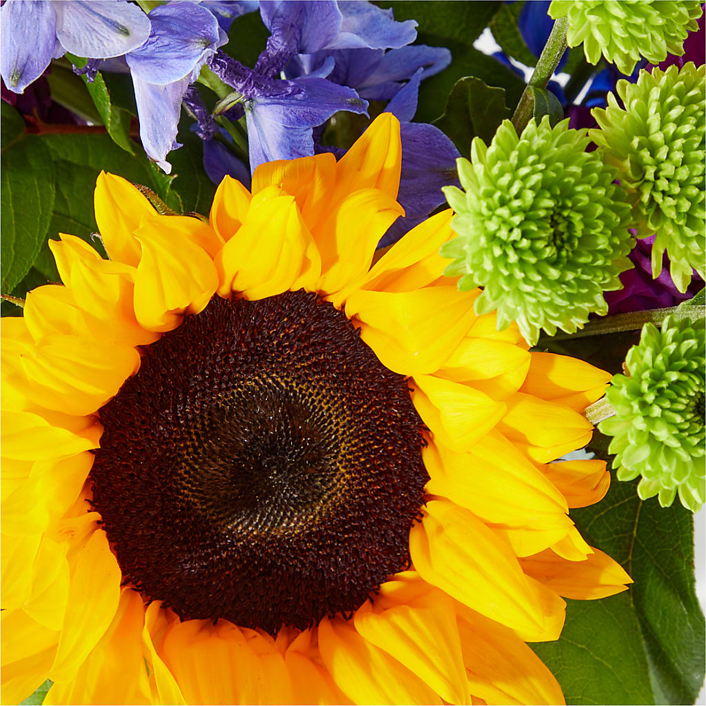 Catching Rays Bouquet – MELODY'S FLOWERS, Burlington WA