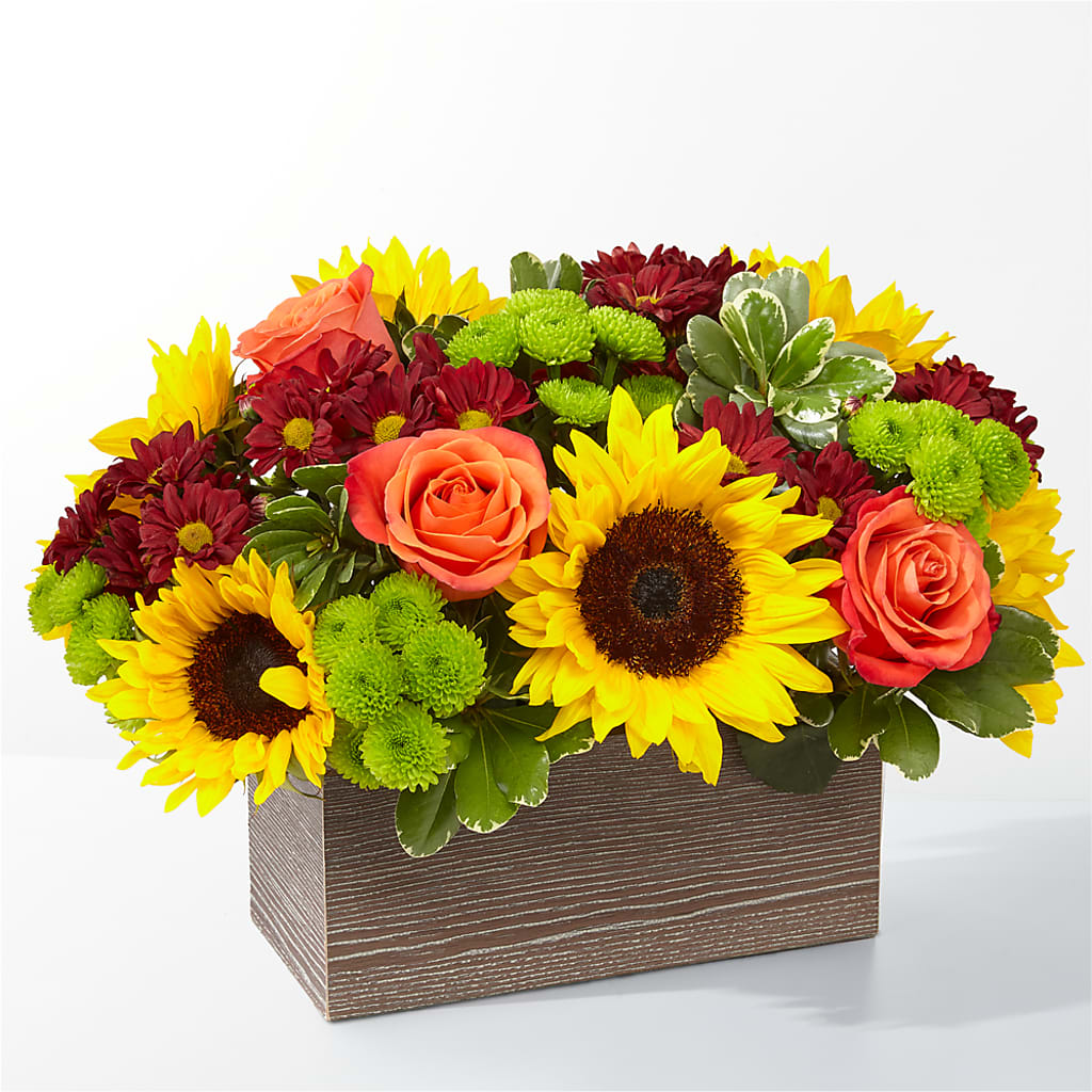 Happy Harvest Garden – MELODY'S FLOWERS, Burlington WA