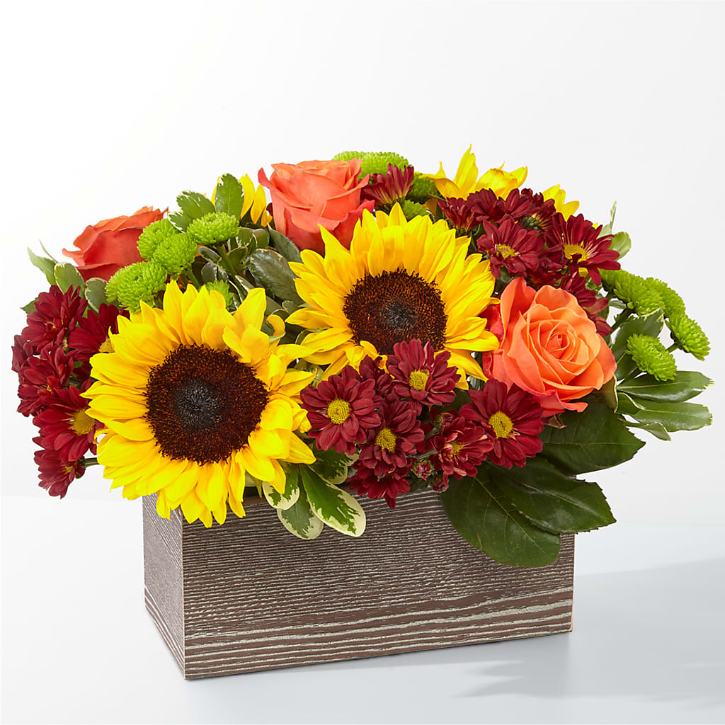 Happy Harvest Garden – MELODY'S FLOWERS, Burlington WA