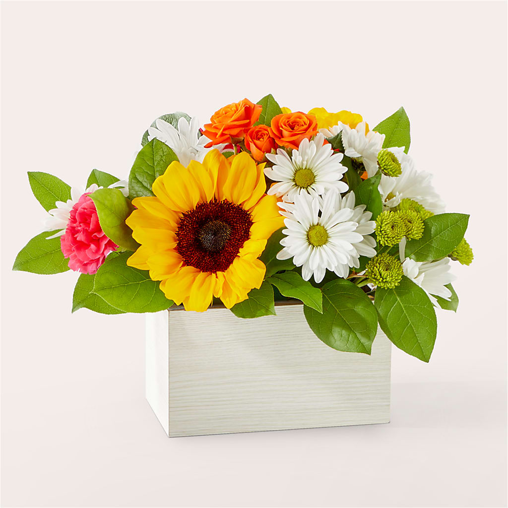 Sun-drenched Blooms Box Bouquet – MELODY'S FLOWERS, Burlington WA