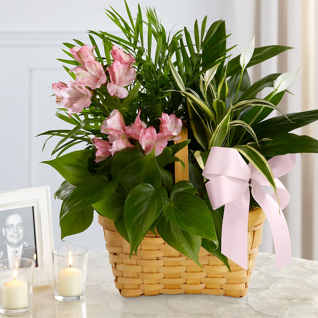 Living Spirit Dishgarden – MELODY'S FLOWERS, Burlington WA