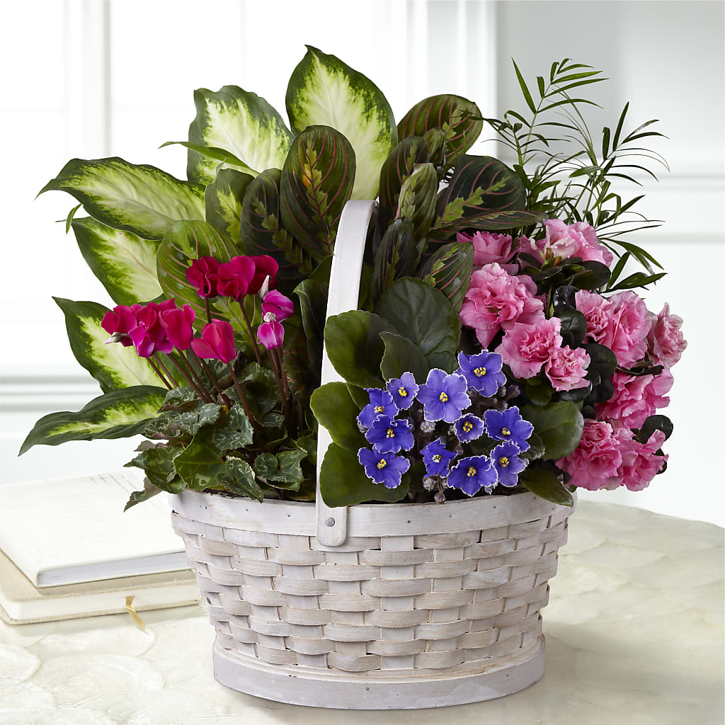 Peaceful Garden Planter – MELODY'S FLOWERS, Burlington WA