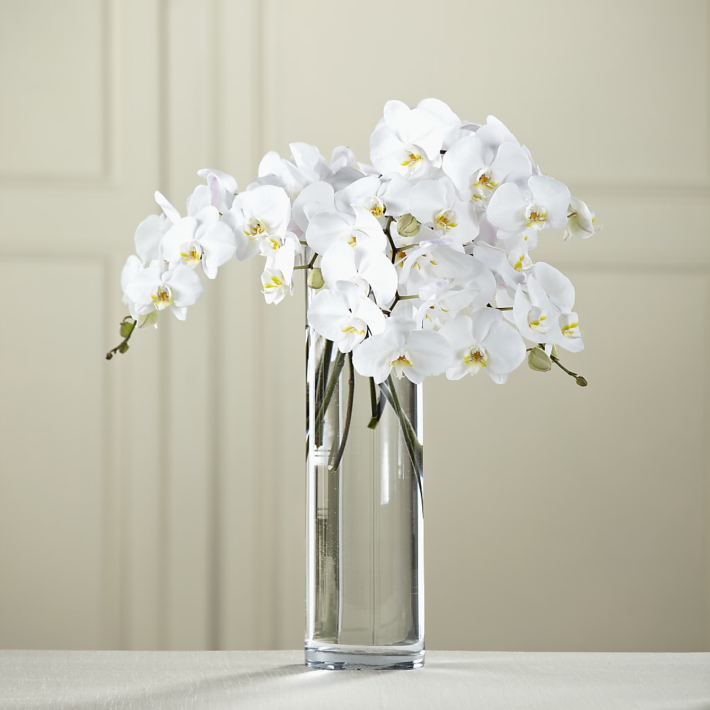 White Phalaenopsis Bouquet – MELODY'S FLOWERS, Burlington WA