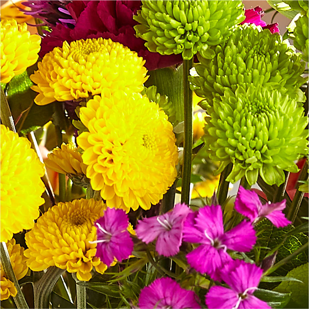 Bold & Bright – A Florist Original – MELODY'S FLOWERS, Burlington WA