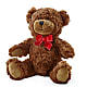 Adorable Plush Bear – MELODY'S FLOWERS, Burlington WA