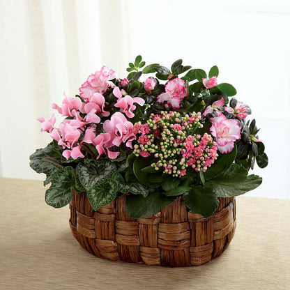 Pink Assortment – MELODY'S FLOWERS, Burlington WA