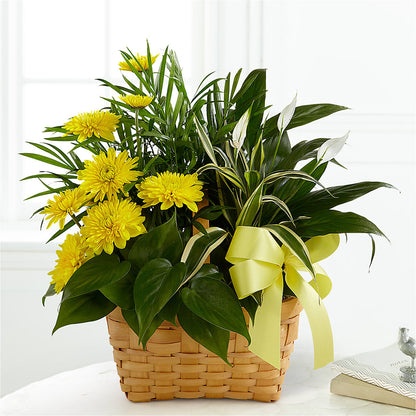 Loving Light Dishgarden – MELODY'S FLOWERS, Burlington WA