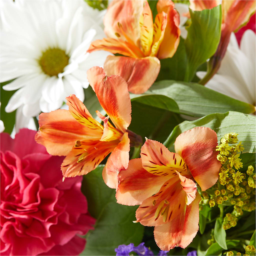 Oopsie Daisy Box Bouquet – MELODY'S FLOWERS, Burlington WA