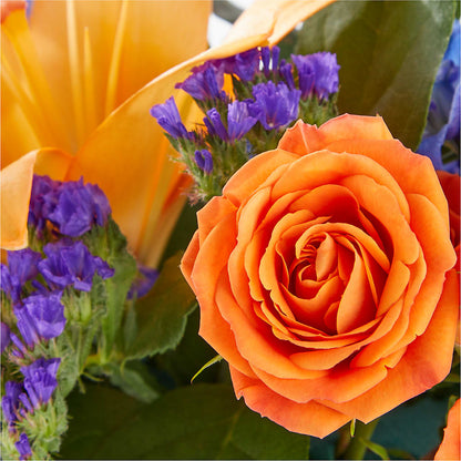 Radiant Citrus Box Bouquet – MELODY'S FLOWERS, Burlington WA