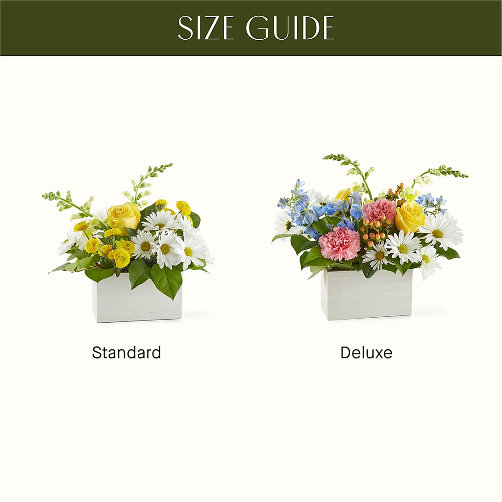 Sun Salutation Box Bouquet – MELODY'S FLOWERS, Burlington WA