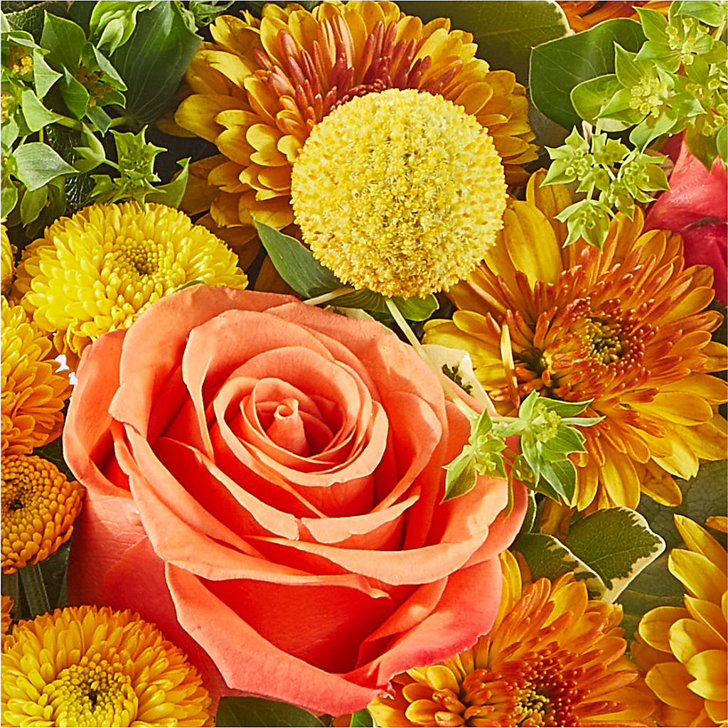 Gourdgeous Pumpkin – MELODY'S FLOWERS, Burlington WA