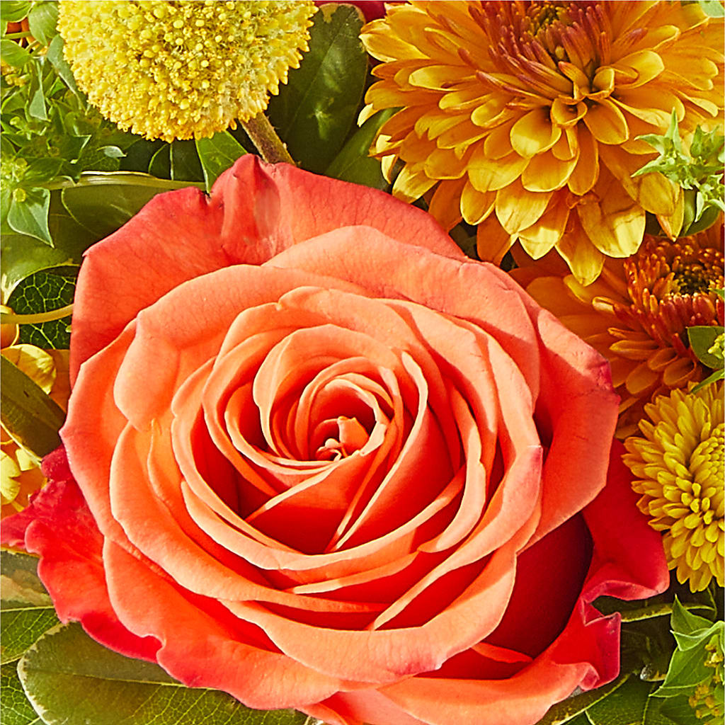 Gourdgeous Pumpkin – MELODY'S FLOWERS, Burlington WA