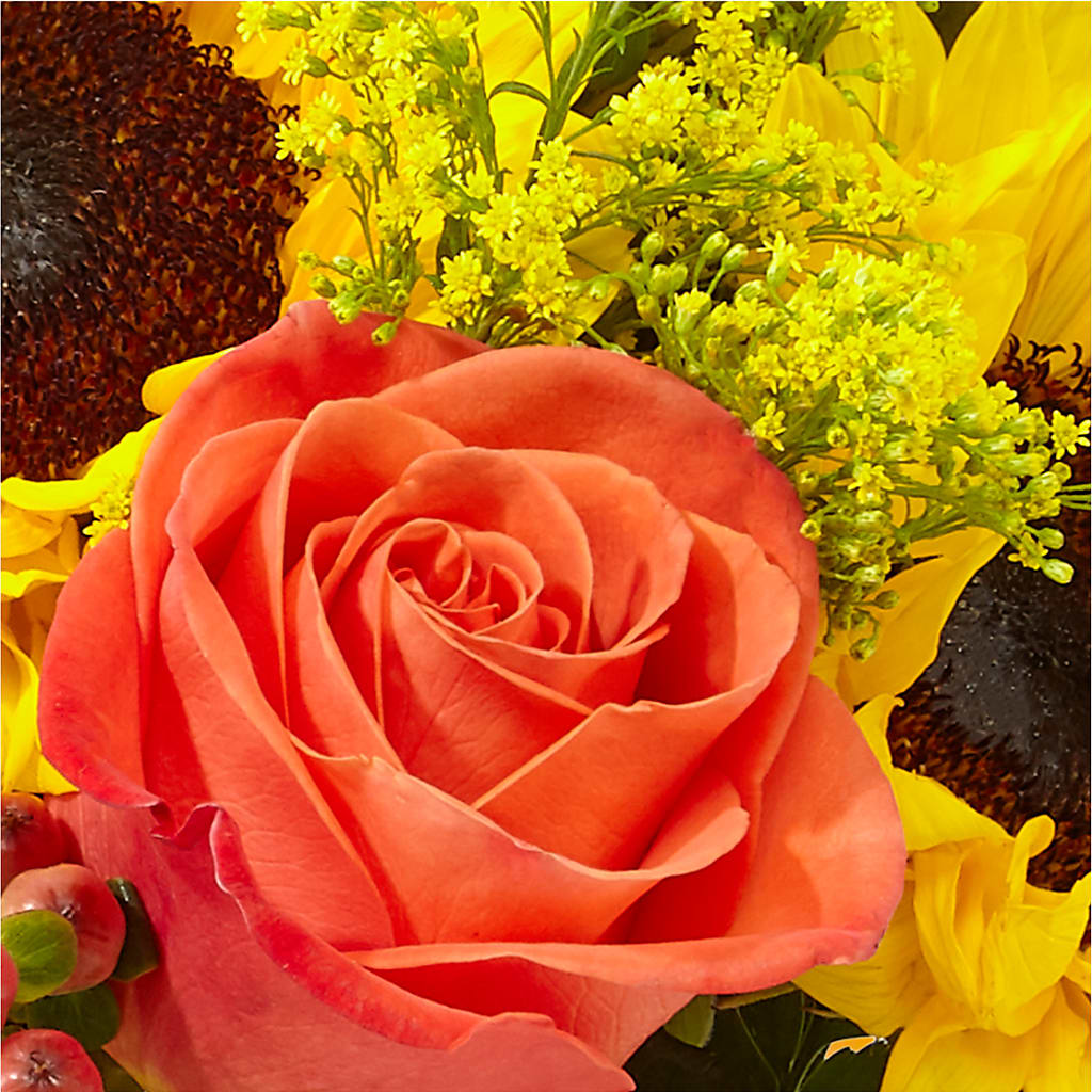 Pick of the Patch Pumpkin Bouquet – MELODY'S FLOWERS, Burlington WA