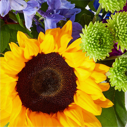 Catching Rays Bouquet – MELODY'S FLOWERS, Burlington WA