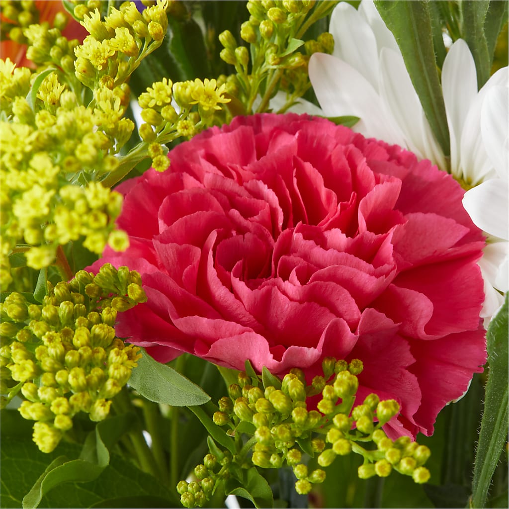 Oopsie Daisy Bouquet – MELODY'S FLOWERS, Burlington WA