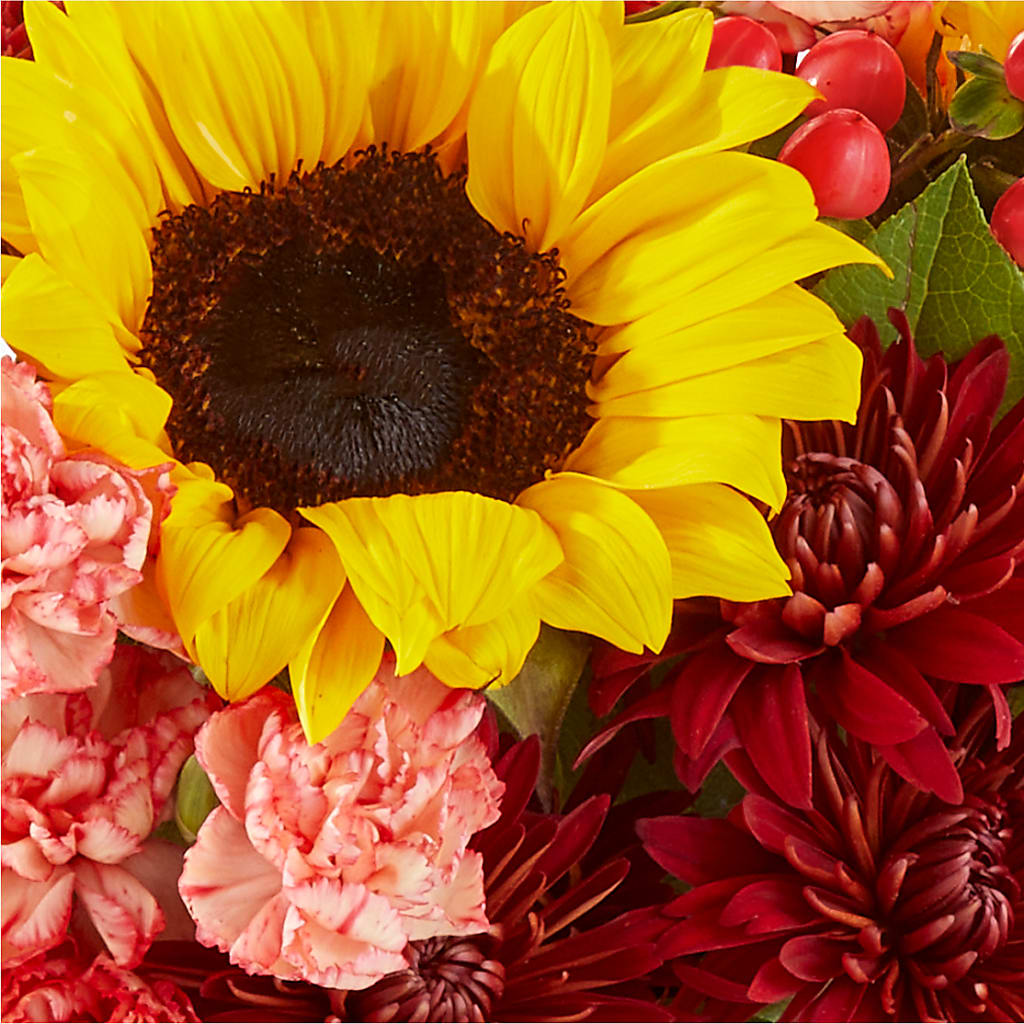 Fresh Cider Bouquet – MELODY'S FLOWERS, Burlington WA