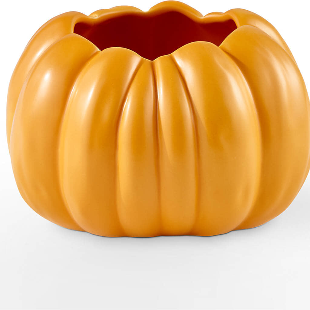 Golden Gourd Pumpkin Bouquet – MELODY'S FLOWERS, Burlington WA