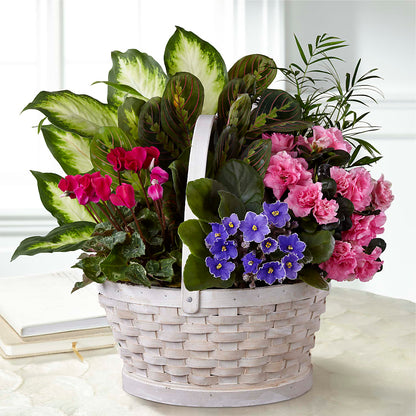 Peaceful Garden Planter – MELODY'S FLOWERS, Burlington WA