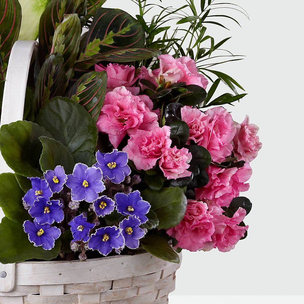 Peaceful Garden Planter – MELODY'S FLOWERS, Burlington WA