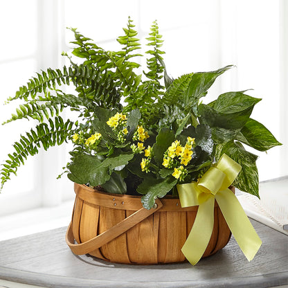 Always Dear Dishgarden – MELODY'S FLOWERS, Burlington WA