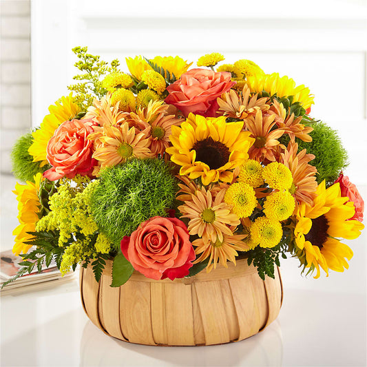 Harvest Sunflower Basket – MELODY'S FLOWERS, Burlington WA