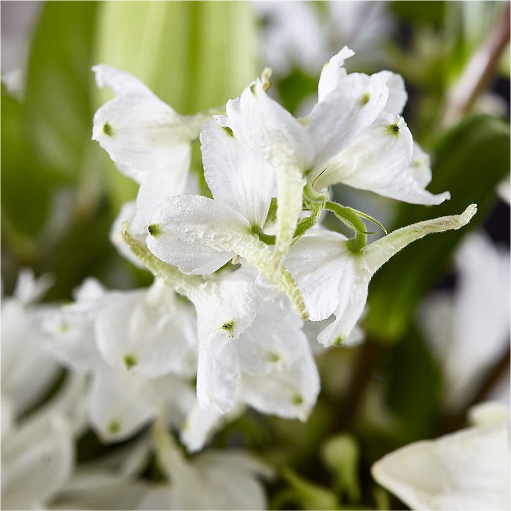 Classic Ivory – A Florist Original – MELODY'S FLOWERS, Burlington WA
