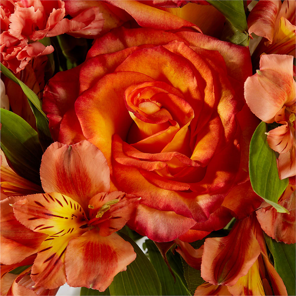 Apricot Glow Bouquet – MELODY'S FLOWERS, Burlington WA