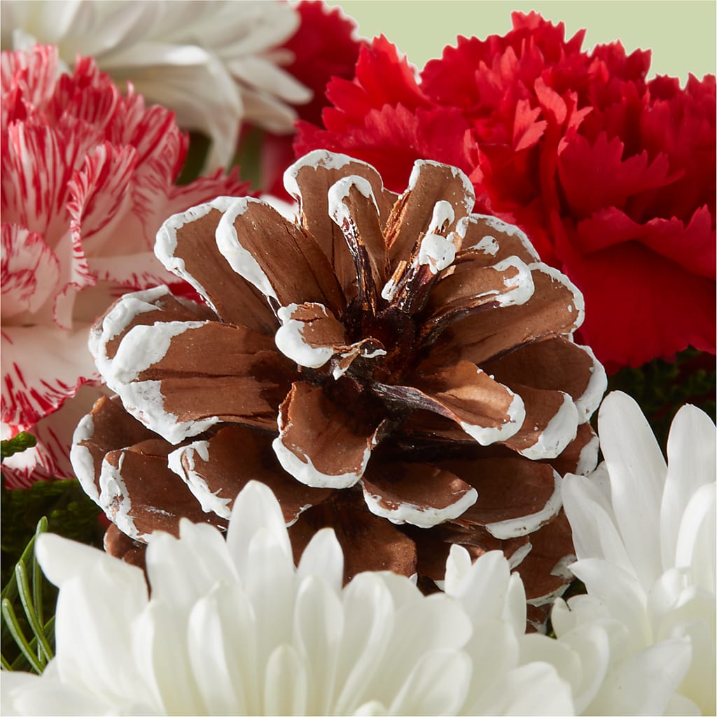 Candy Cane Lane Bouquet – MELODY'S FLOWERS, Burlington WA