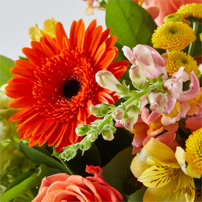 Autumn Sunshine Bouquet – MELODY'S FLOWERS, Burlington WA
