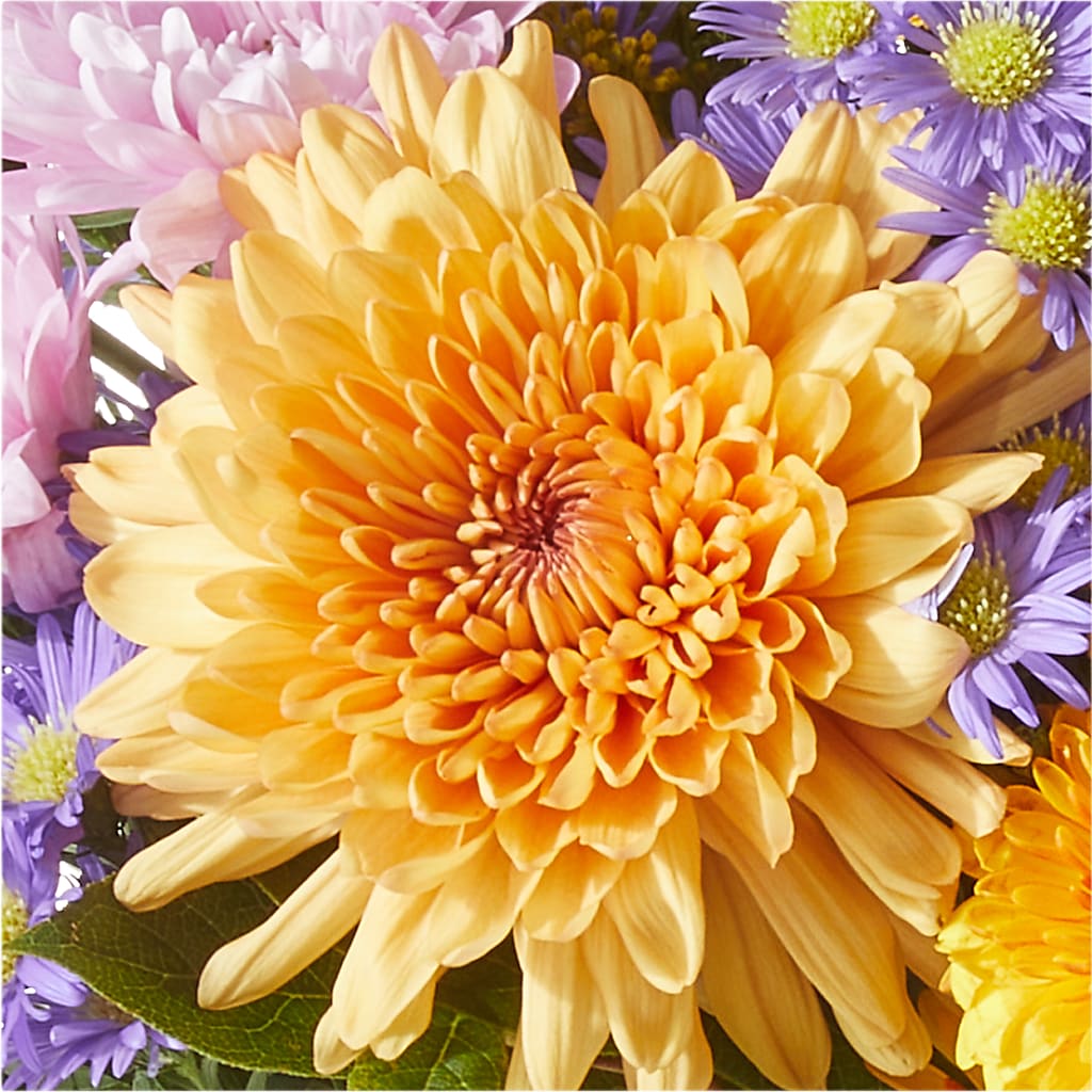 Countryside Bouquet – MELODY'S FLOWERS, Burlington WA