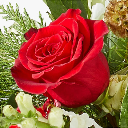 Deck the Halls Bouquet – MELODY'S FLOWERS, Burlington WA