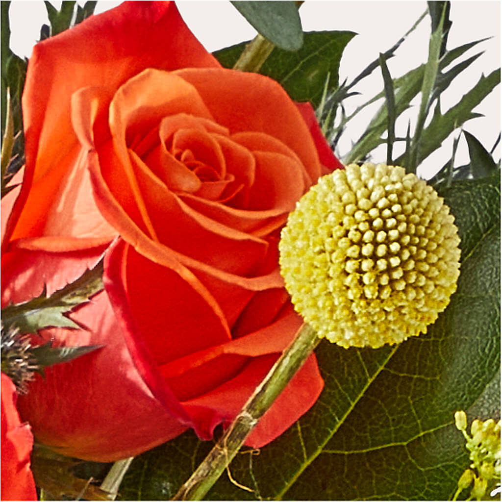 Disco Bouquet – MELODY'S FLOWERS, Burlington WA