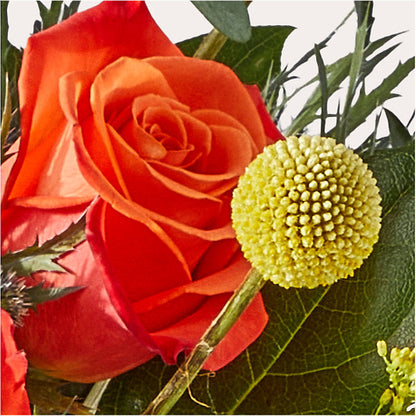 Disco Bouquet – MELODY'S FLOWERS, Burlington WA