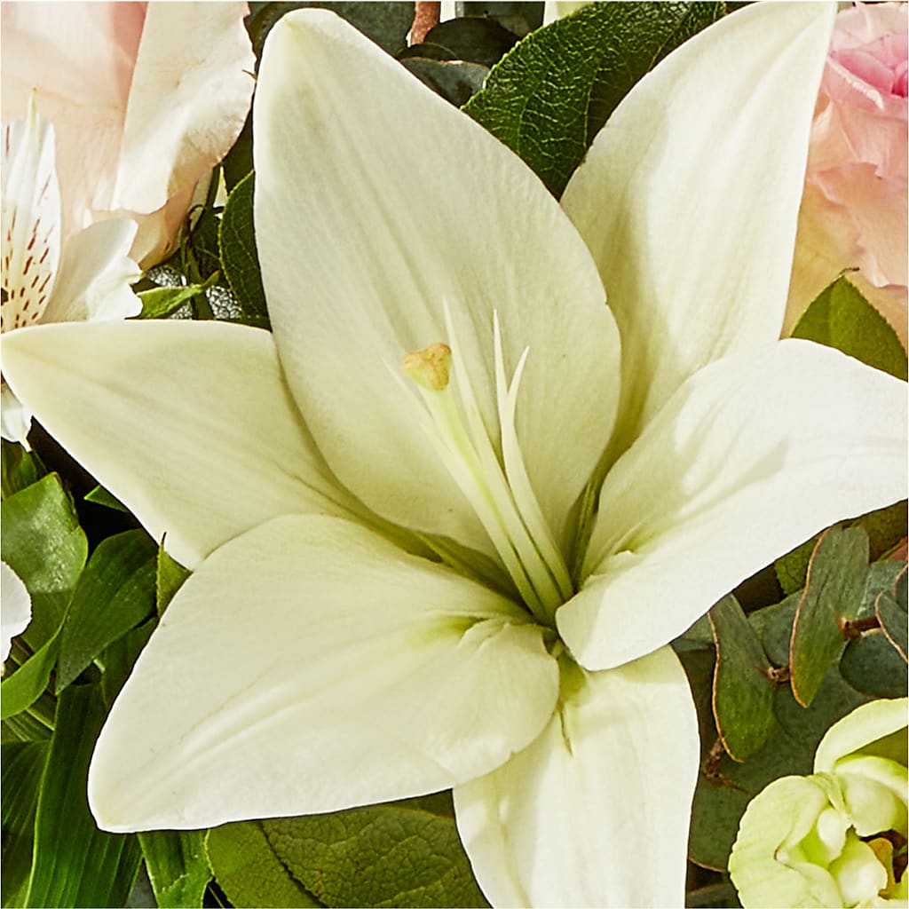 Ballet Slippers Bouquet – MELODY'S FLOWERS, Burlington WA