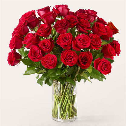 The One Red Rose Bouquet – MELODY'S FLOWERS, Burlington WA