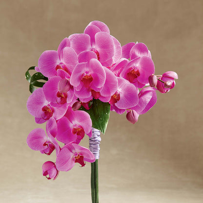 Glorious Bouquet – MELODY'S FLOWERS, Burlington WA