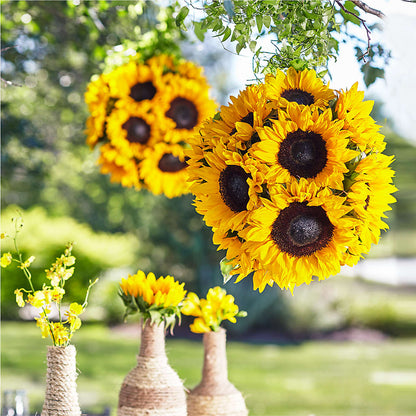 Sublime Garden Hanging Arrangement – MELODY'S FLOWERS, Burlington WA