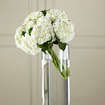 White Hydrangea Hand-Tied Bouquet – MELODY'S FLOWERS, Burlington WA