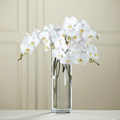 White Phalaenopsis Bouquet – MELODY'S FLOWERS, Burlington WA